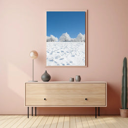 Winter Tranquility: Nature's Beauty in National Park Poster