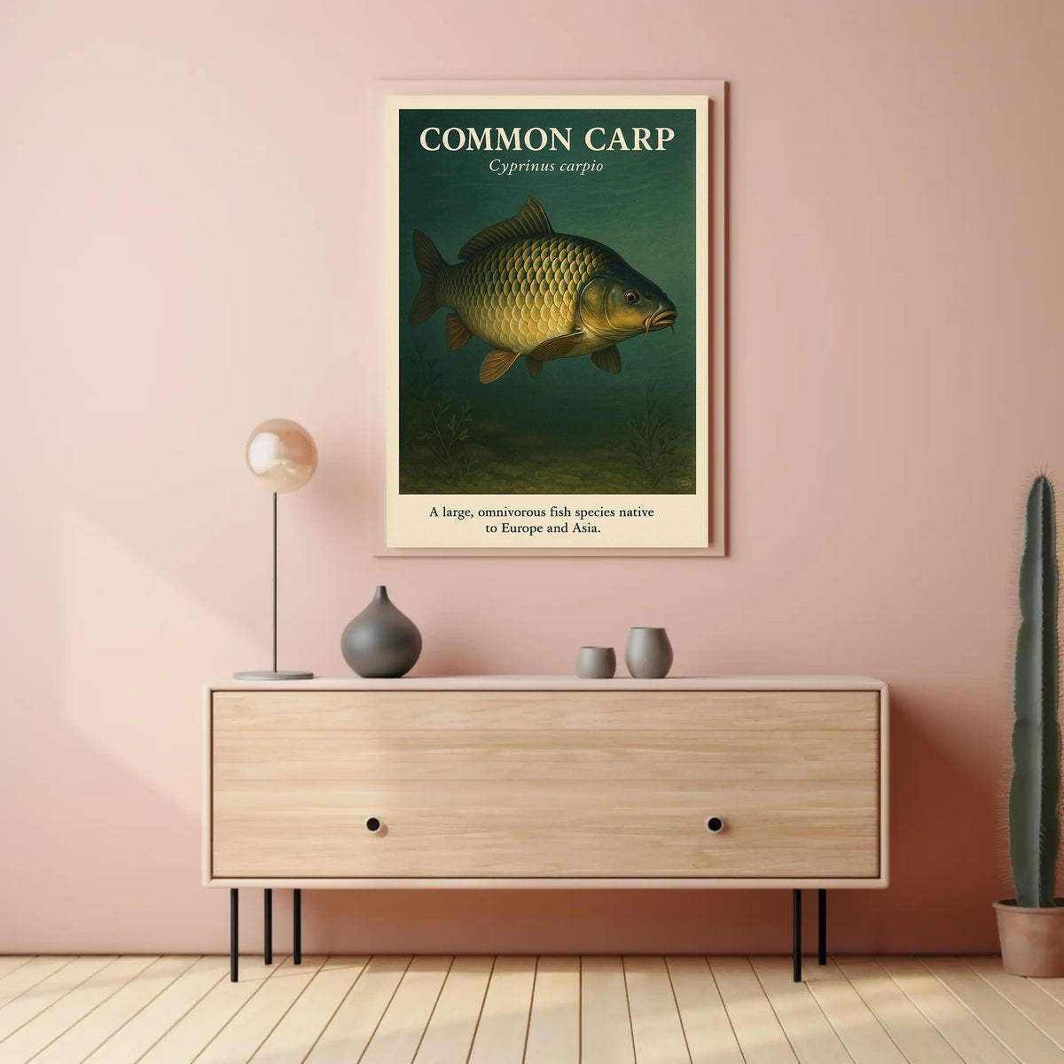 Common Carp Cyprinus carpio Poster