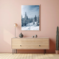 Serene Winter Forest Scene: National Park Poster