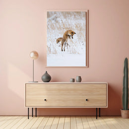 Red Fox Leaping in Snow Animal Poster