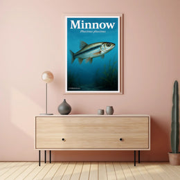 Minnow - Phoxinus phoxinus Poster PosterGoat