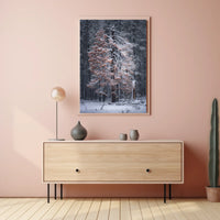 WinterS Embrace Poster