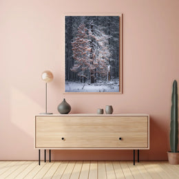 WinterS Embrace Poster