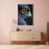 Majestic Eagle Eye Close-Up Animal Poster PosterGoat