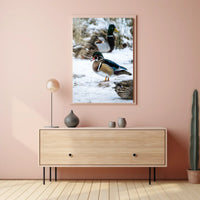Winter Serenity Ducks In Snow Poster