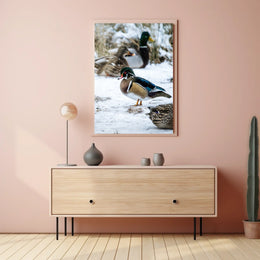 Winter Serenity Ducks In Snow Poster