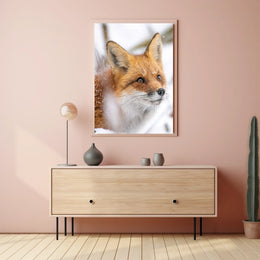 Red Fox in Winter Wonderland Animal Poster