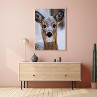 Winter Wonder Poster