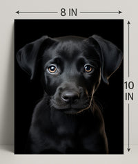 Portrait Of A Black Labrador Puppy Poster PosterGoat
