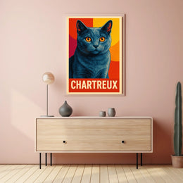 Chartreux Cat Poster