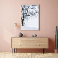 Winter Serenity Poster