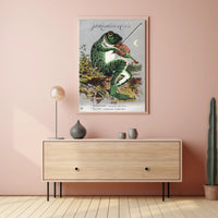Whimsical Frog Playing Violin Vintage Advertisement Poster PosterGoat