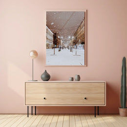 Winter Wonderland Street Poster