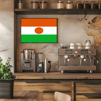 Niger Flag Poster