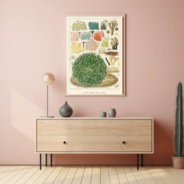 Great Barrier Reef Corals Poster