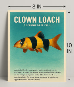 Clown Loach Fish Wall Art Print Decor PosterGoat