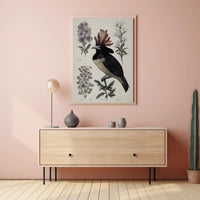 Vintage Botanical Bird Illustration Educational or Infographic Poster PosterGoat