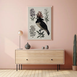 Vintage Botanical Bird Illustration Educational or Infographic Poster PosterGoat