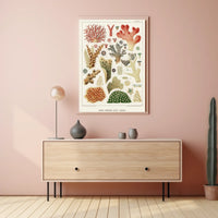 Great Barrier Reef Corals Poster