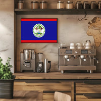 Belize Flag Poster