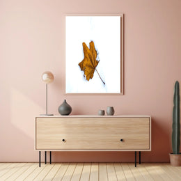 AutumnS Contrast Poster