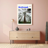 Redwood National Park Scenic Poster Wall Art Print