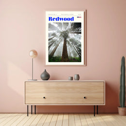 Redwood National Park Scenic Poster Wall Art Print