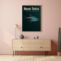 Neon Tetra Paracheirodon Innesi Poster