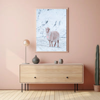 Winter Serenity A Lone Sheep Poster