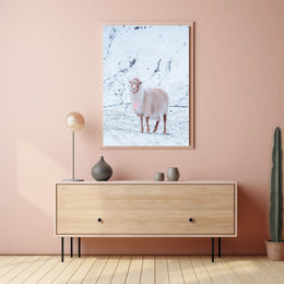 Winter Serenity A Lone Sheep Poster
