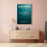 Glass Catfish Kryptopterus vitreolus Poster PosterGoat