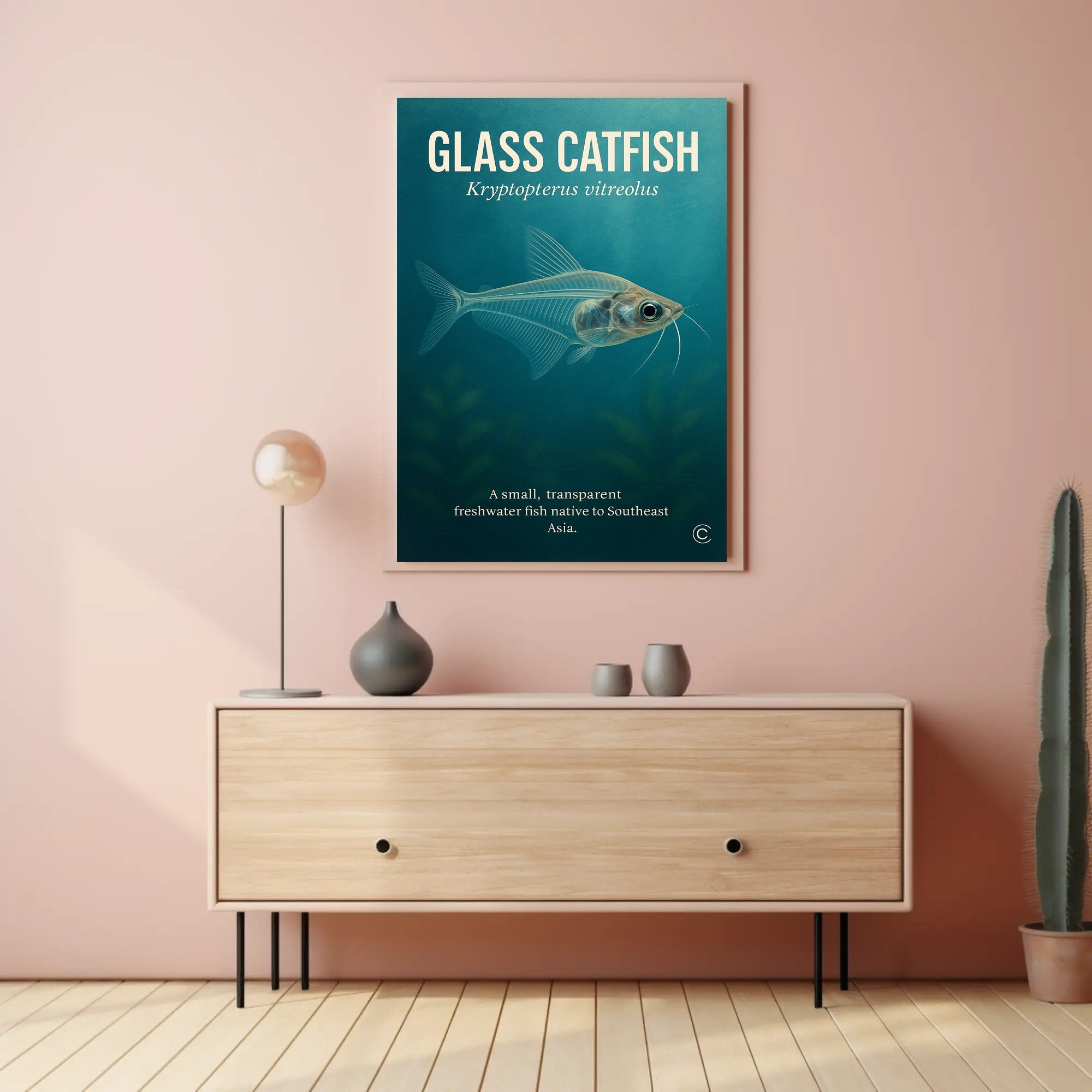 Glass Catfish Kryptopterus vitreolus Poster PosterGoat