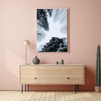 Winter Canopy Poster