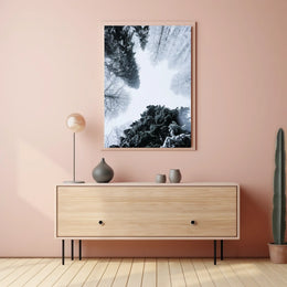 Winter Canopy Poster