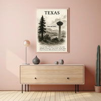 Texas The Lone Star State Poster PosterGoat