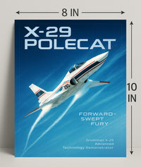 X-29 Polecat Forward-Swept Fury Poster PosterGoat