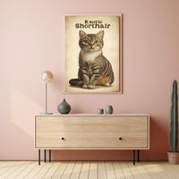 Exotic Shorthair Cat Portrait Photography Realism Poster