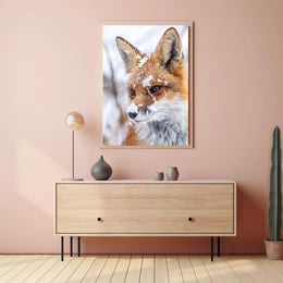 Winter Fox Poster