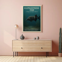 Elephantnose Fish NatureS Marvel Poster