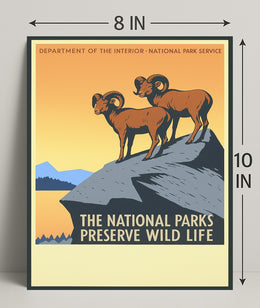 Preserve Wildlife in National Parks Poster PosterGoat