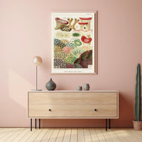 Great Barrier Reef Corals Poster