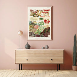 Great Barrier Reef Corals Poster