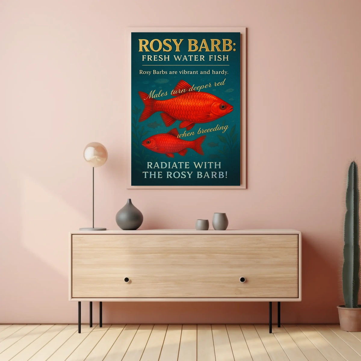 Radiate with the Rosy Barb Poster