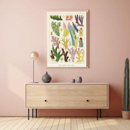 Great Barrier Reef Corals Poster