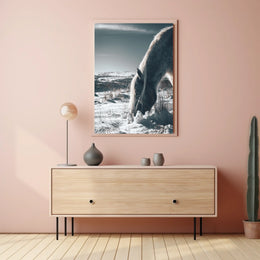 Winter Serenity A Horse In Snow Poster