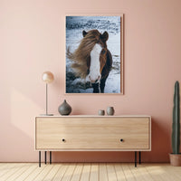 Majestic Icelandic Horse in Winter Animal Poster