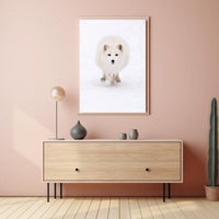 Arctic Fox In Motion Poster