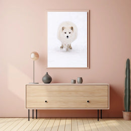 Arctic Fox In Motion Poster