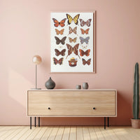 Butterfly Collection and Smokey Bear Poster PosterGoat