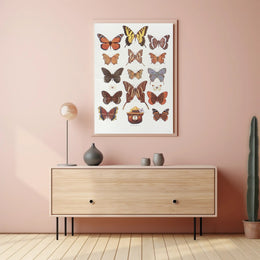 Butterfly Collection and Smokey Bear Poster PosterGoat